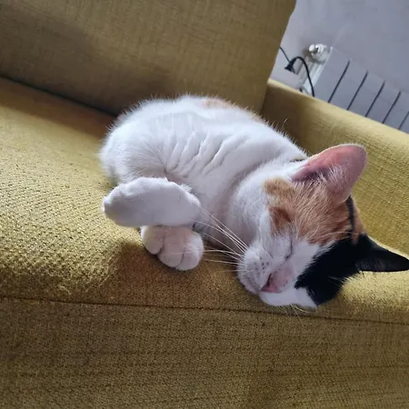 Homestay Clementine Et Marcel